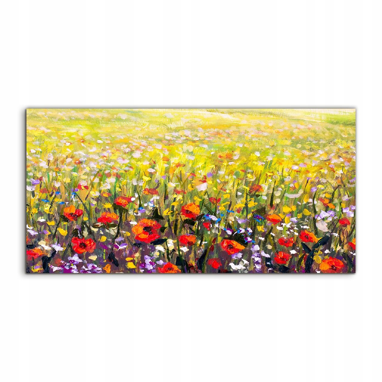 

Obraz akryl 100x50 ścienny Krajobraz Łąka Kwiaty