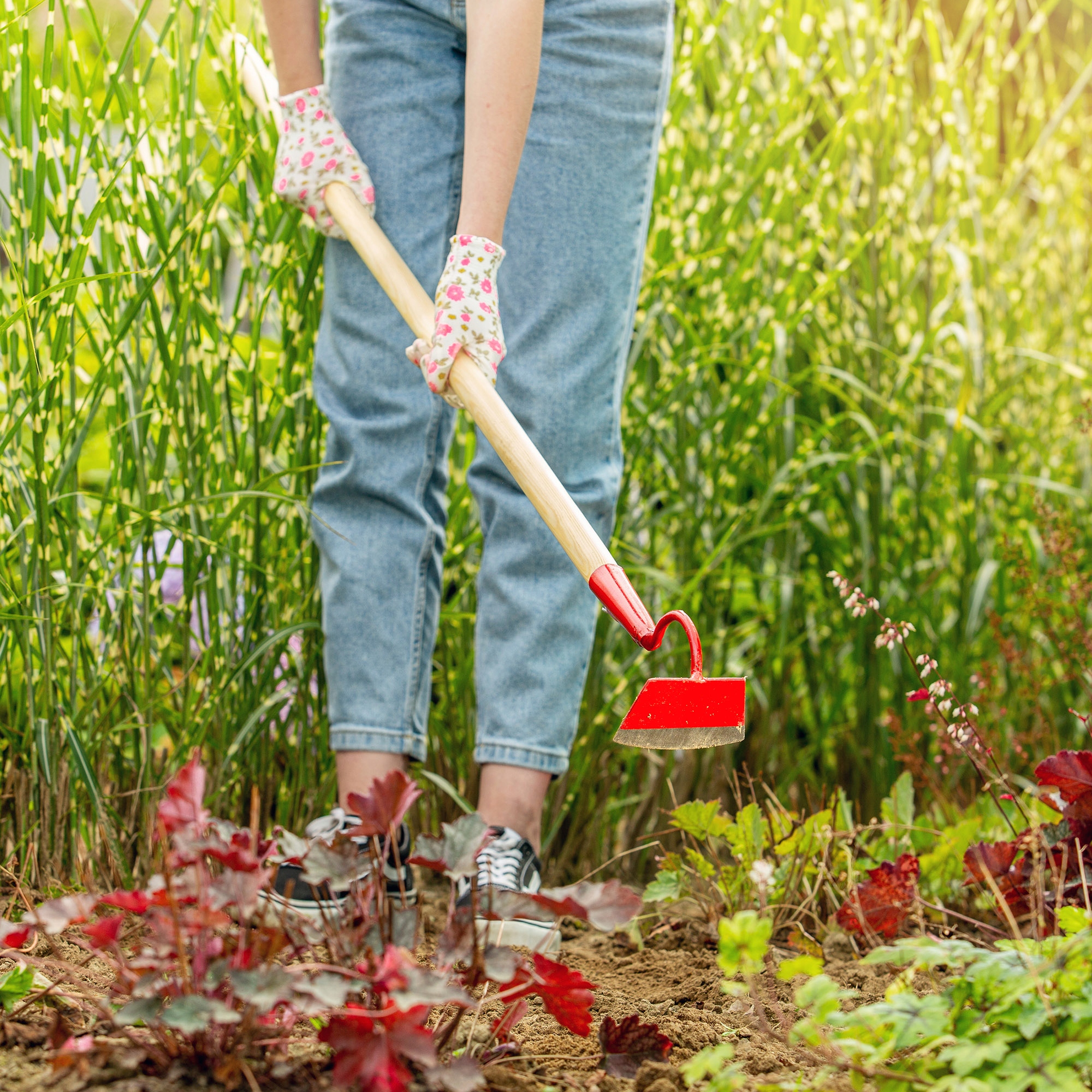 MOTYCZKA MOTYKA OGRODOWA KUTA TRZONEK 10 cm Marka Kadax