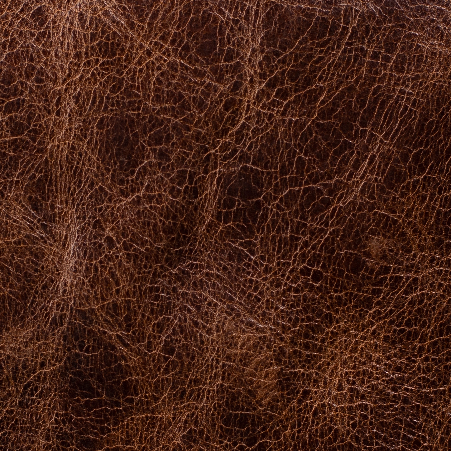 PORTFEL MĘSKI SKÓRZANY SKÓRA NATURALNA portwel HIT Kolor brązowy