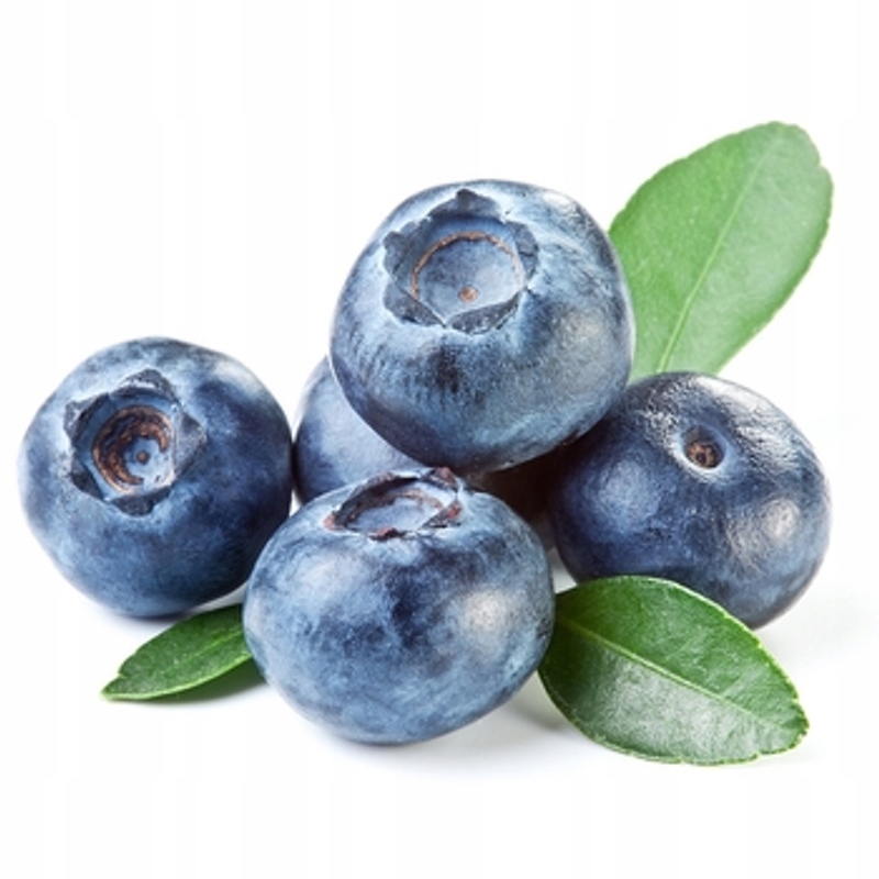 Levně Americká Borůvka Chile 500 G