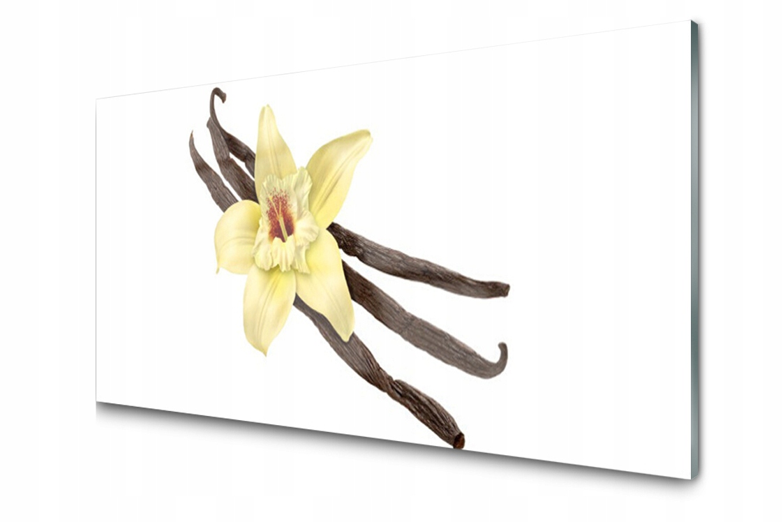 

Panel szklany dekoracyjny Kwiat Roślina 100x50