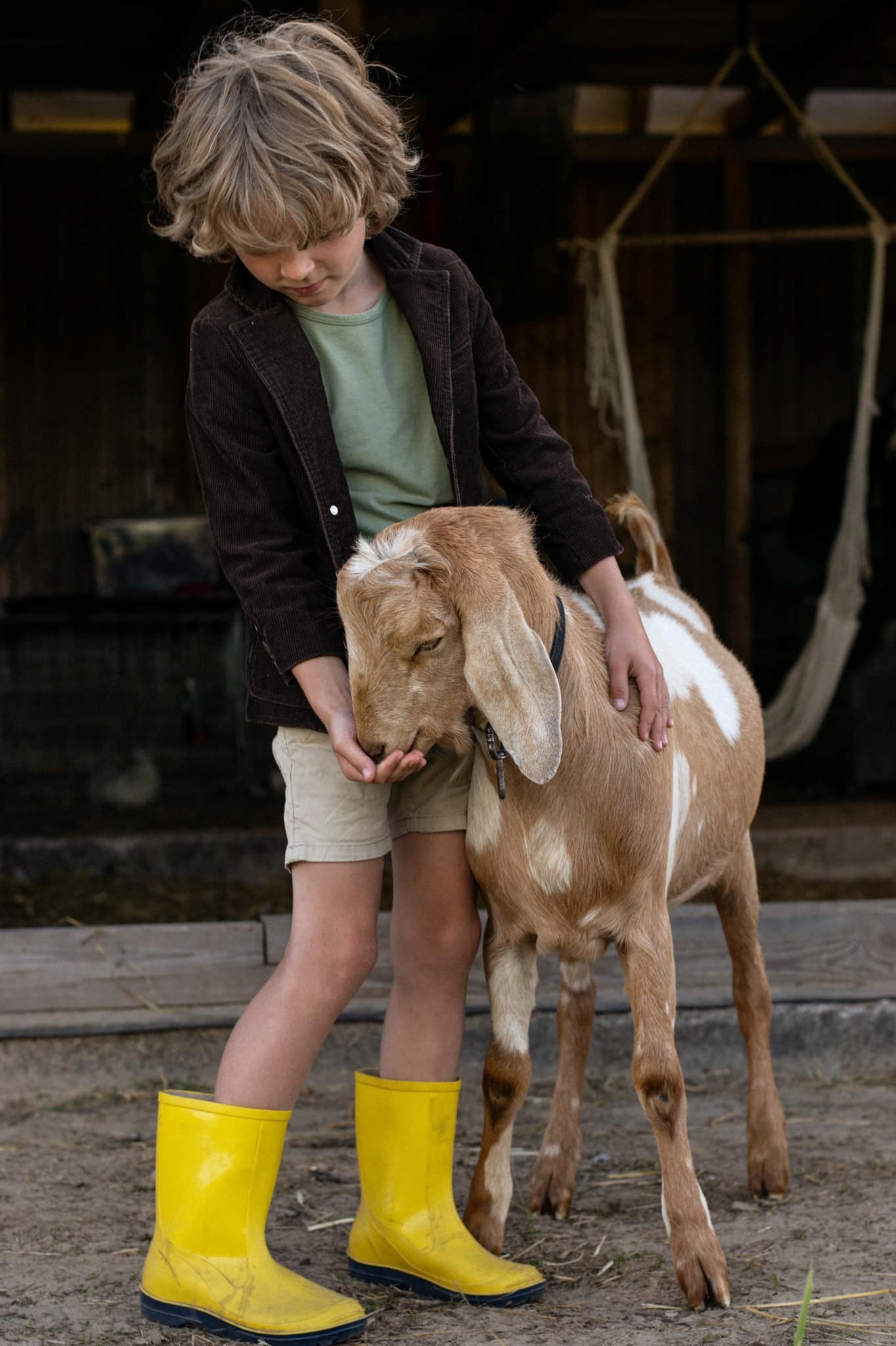 Kalosze Gumowce Lekkie Wygodne Gumiaki Krótkie Materiał inny materiał