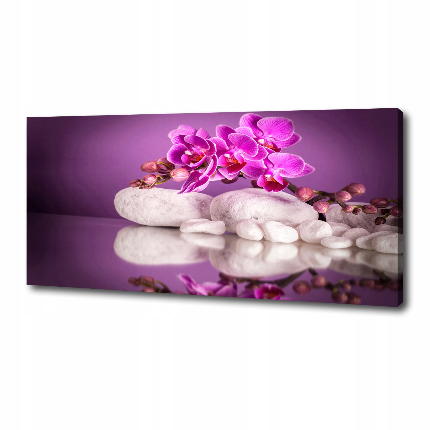 

Foto obraz na płótnie Różowa orchidea 125x50 cm