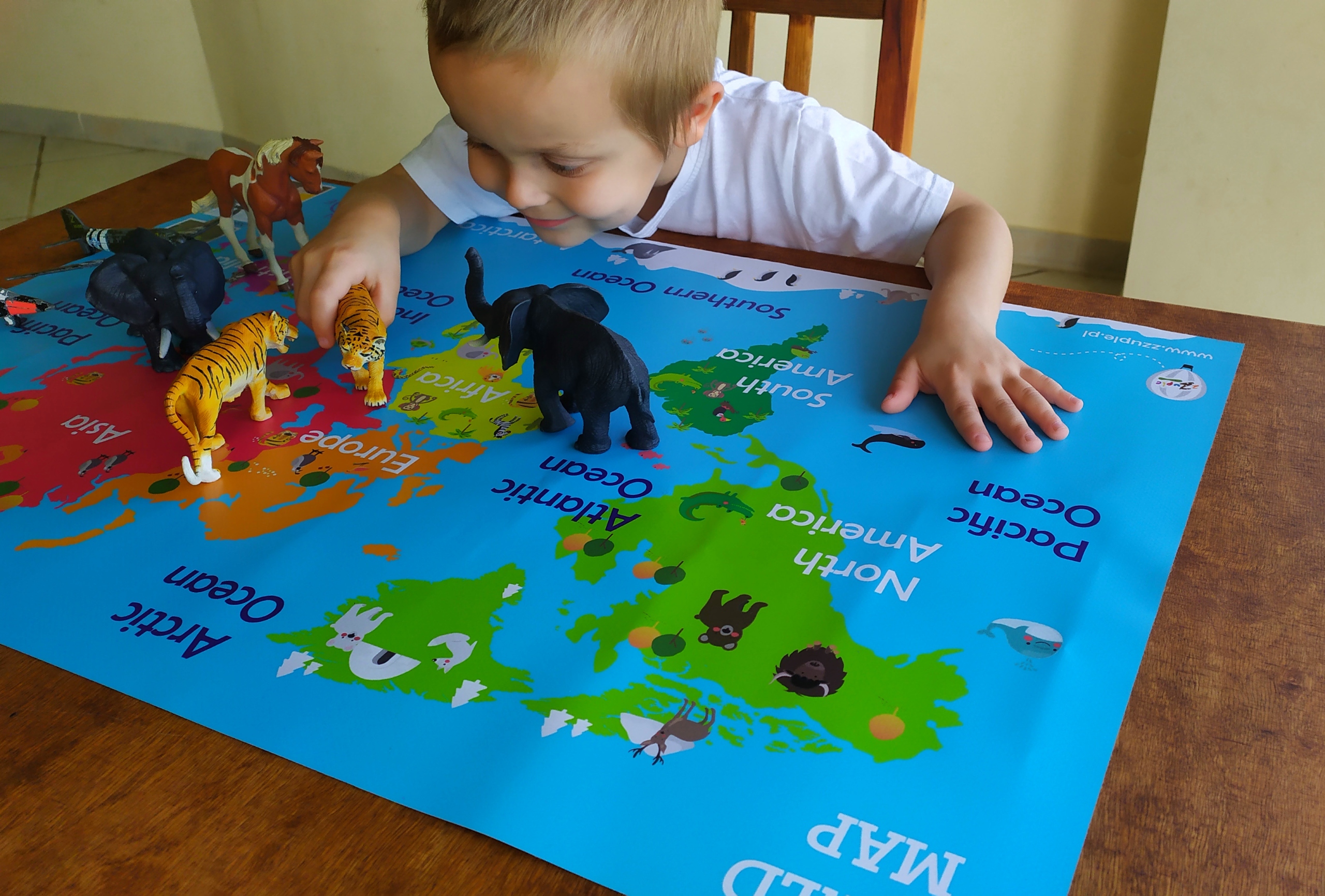World Map S. Animals. Mata dla dzieci. Montessori Wydawnictwo inne