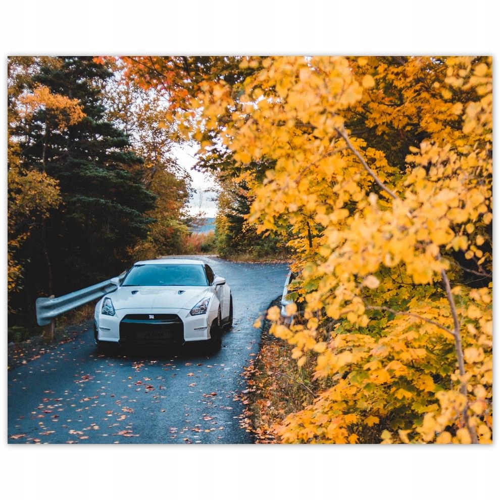 

Plakat 50x40 Motoryzacja Samochód Auta