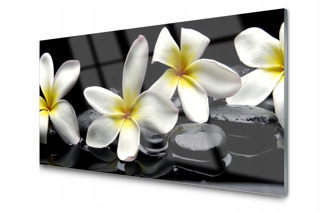 Obraz na skle Krásný květ Plumeria 100x50