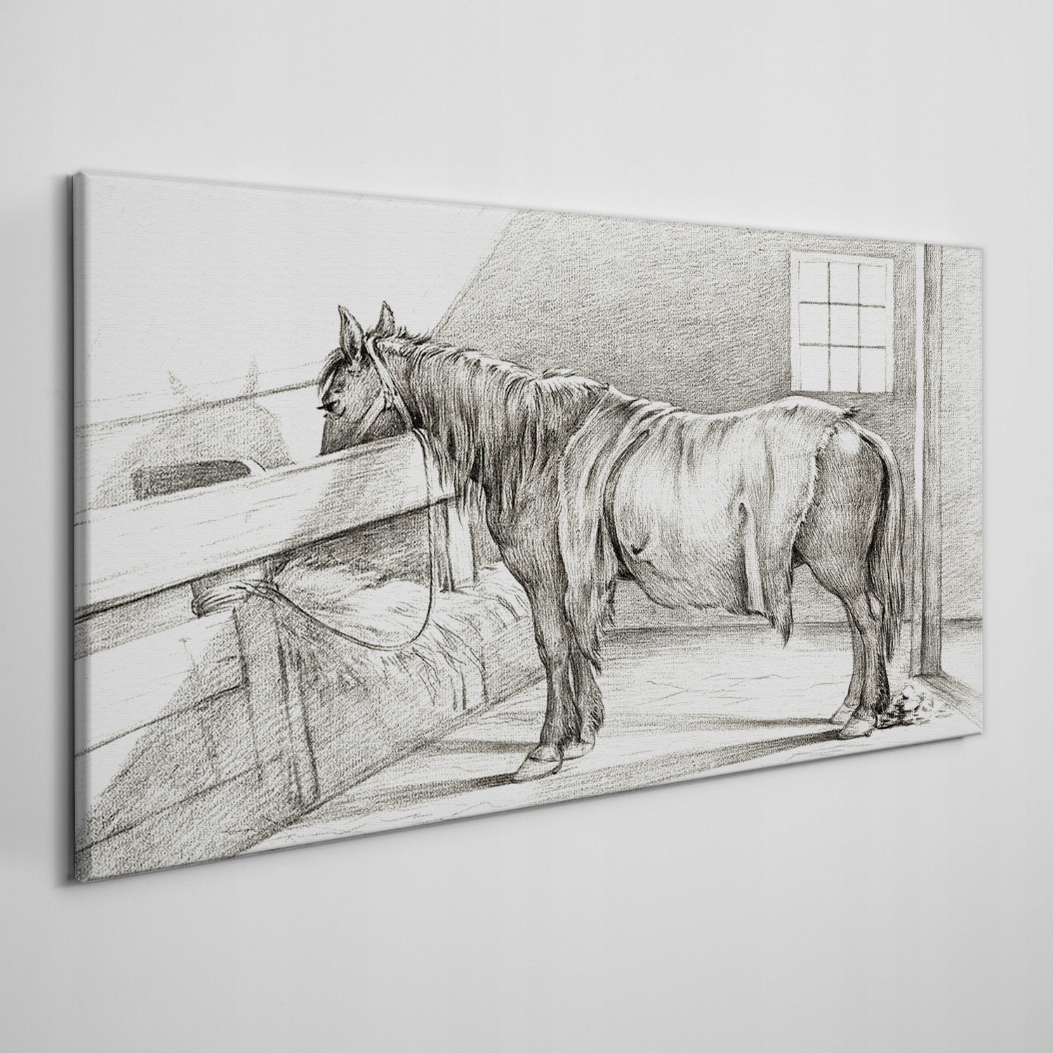 

Obraz na płótnie na ramie Zwierzę koń 100x50 cm