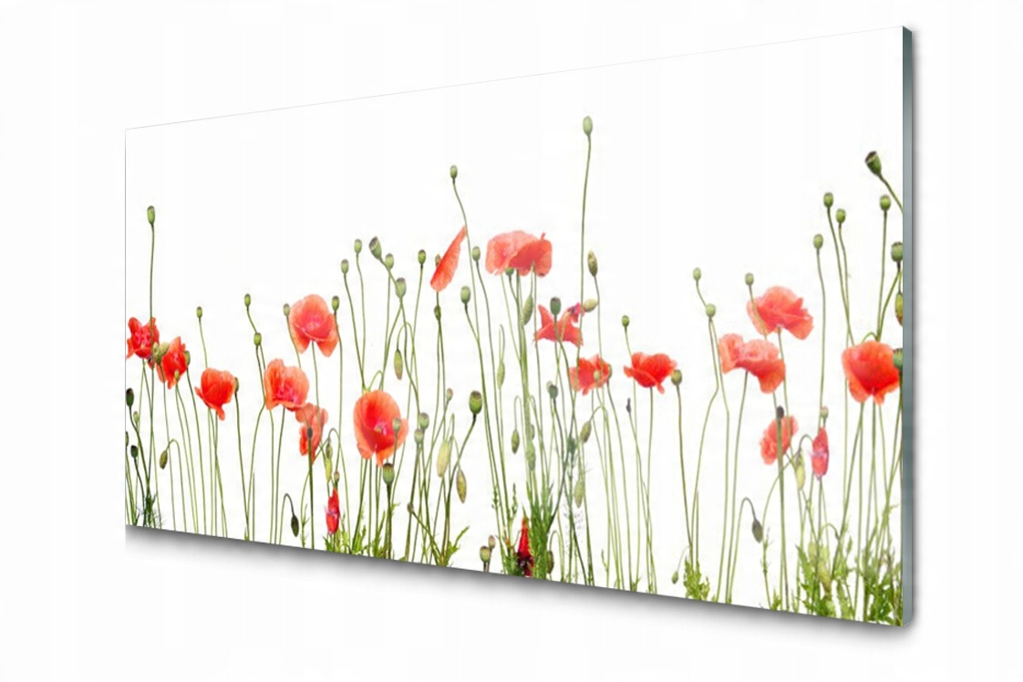 

Panel szklany dekor Maki Roślina 140x70 + Klej