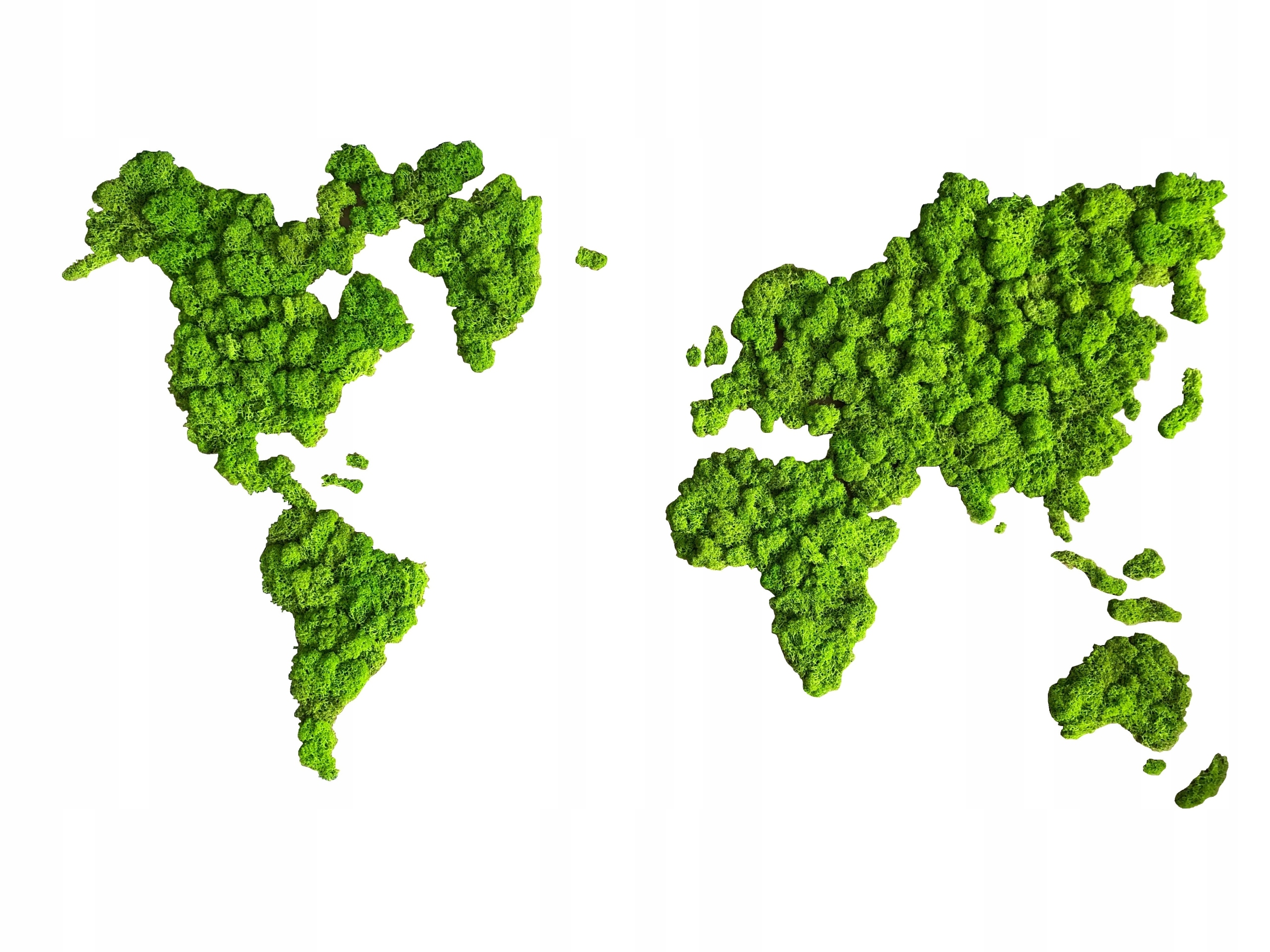 Prírodný mach na stenu mapa sveta 1,1 m x 0,7 m