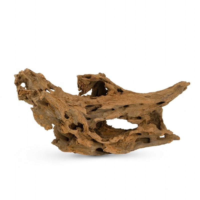 Levně Řezaný kořen Shrim pro akvárium nebo terárium L