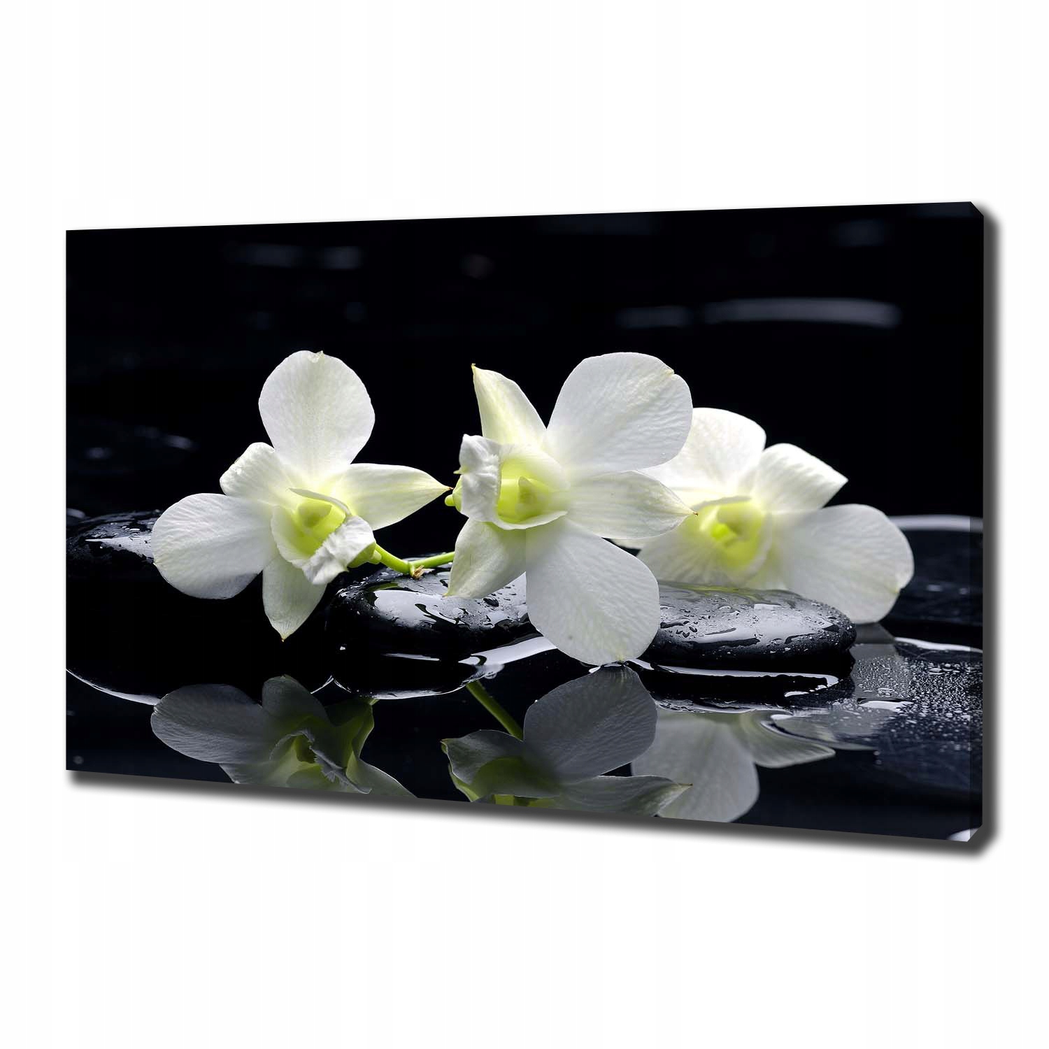 

Foto obraz canvas na ścianę Orchidea 100x70 cm