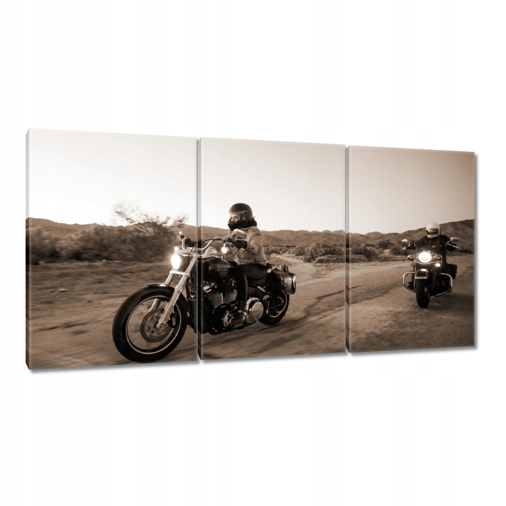 

Obrazy 120x60 Harley Davidson Motocykl