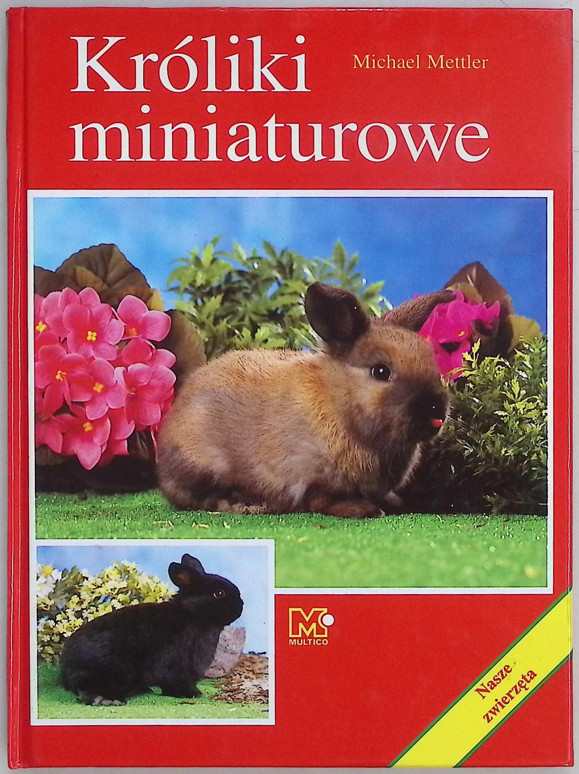 Króliki miniaturowe Michael Mettler