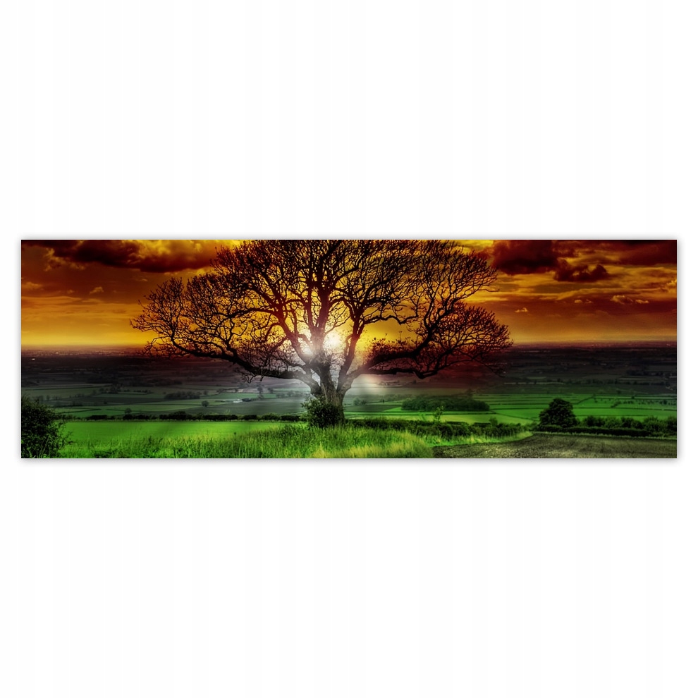 

Fototapety flizelina 312x104 Magiczne drzewo