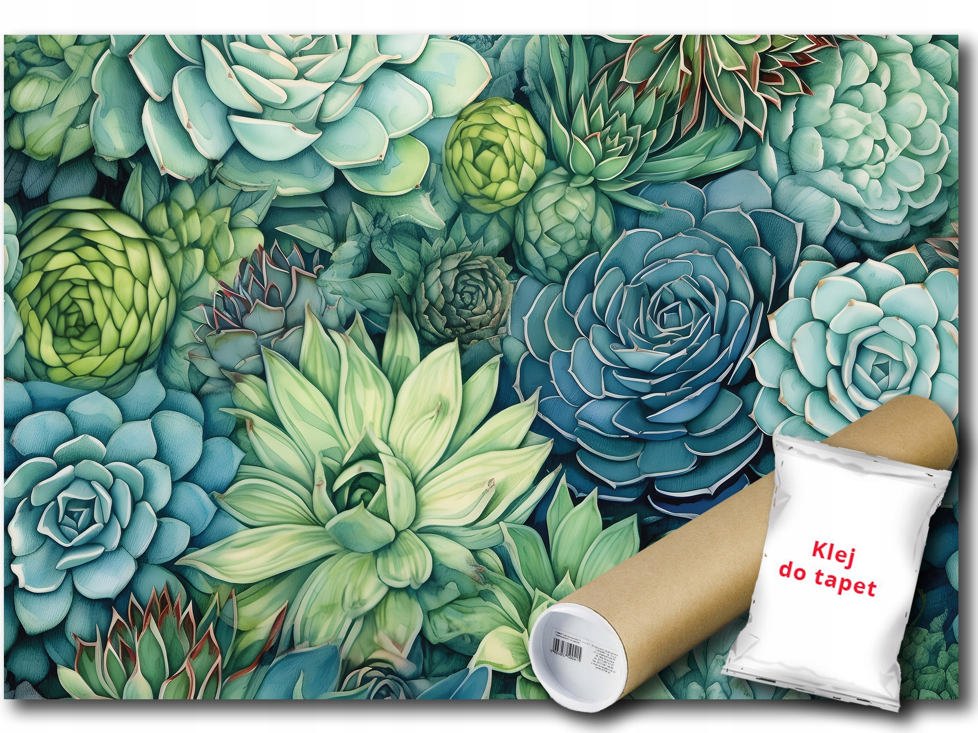 Vinylová Fototapeta Kaktusy Skalniaky 312x219