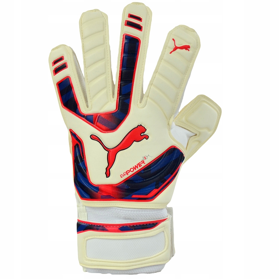 Rękawice bramkarskie Puma Evo Power Grip 2 Rc R.10