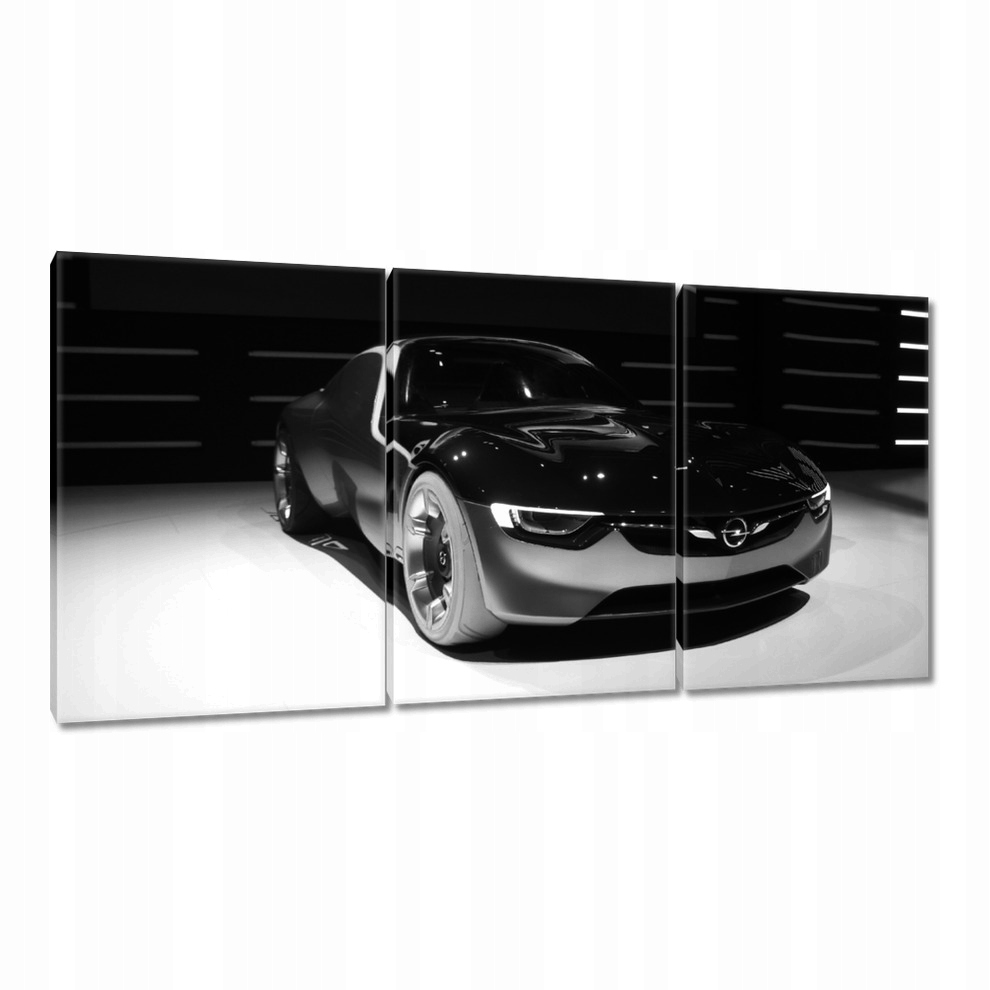 

Obrazy 120x60 Opel