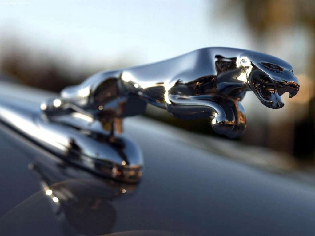 JAGUAR XJ x350 XF XK S TYPE X TYPE kot na maskę Emblemat Maski Statuetka