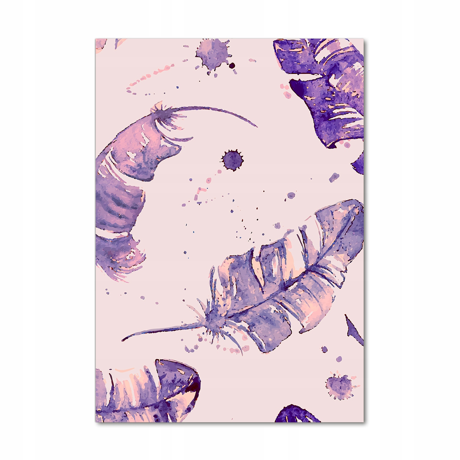 

Fotoobraz szklany na ścianę do salonu Pióra 70x100