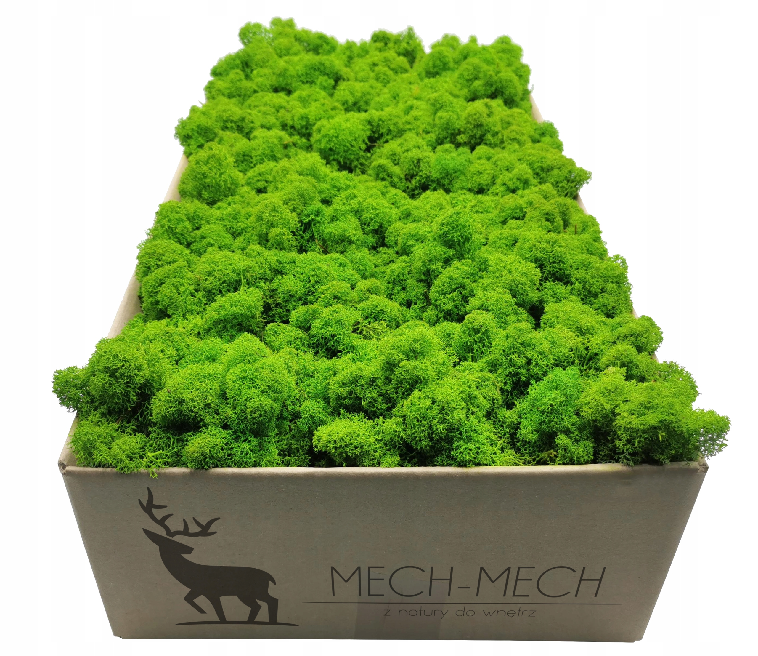 

Mech Chrobotek Fiński 500g