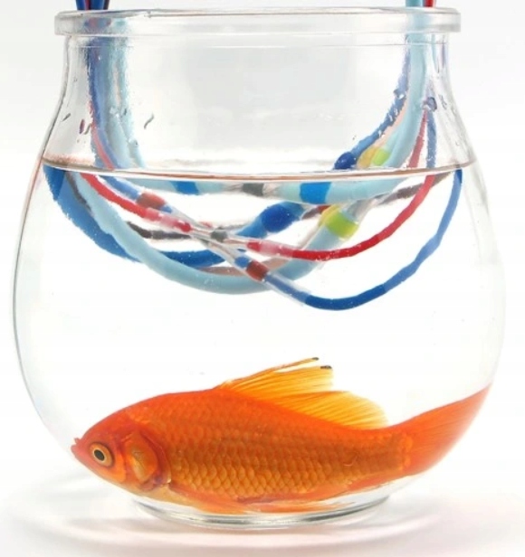 ZŁĄCZKI RURKI TERMOKURCZLIWE Z CYNĄ 100 SZTUK 0,5-1,5mm Nazwa RURKI