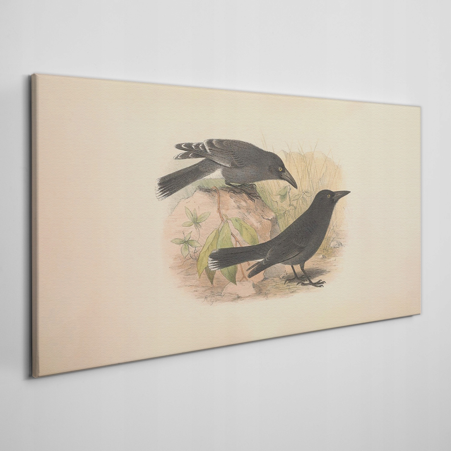 

Obraz na płótnie Ptaki zwierzęta rysunek 140x70 cm