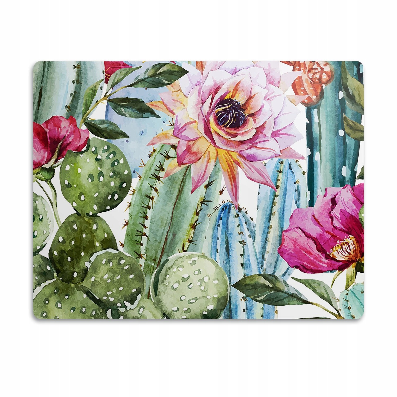 Podložka pod záchod pro kočky Barevné kaktusy 60x40 cm