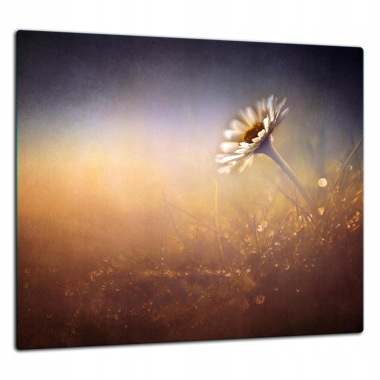 Skleněný Ochranný Panel Do Kuchyně 65x60 Květ Lacobel 7v1