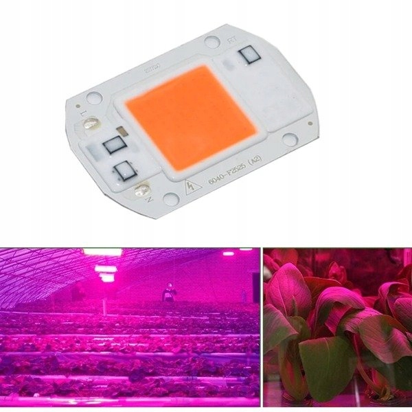 Dioda LED COB 20W - 230V -full spectrum -380-840nm Producent Inna