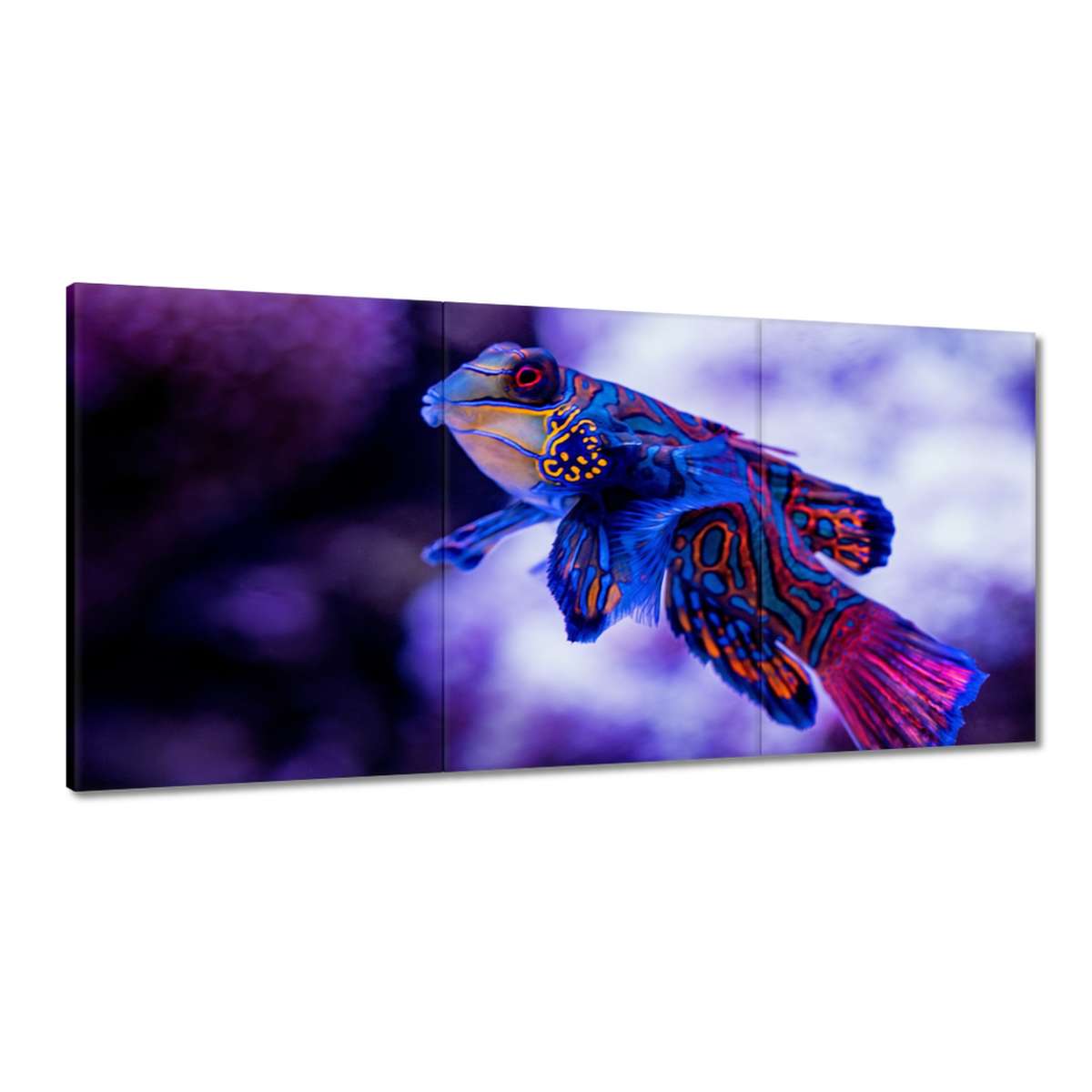 Obrazy 180x90 Zvieratá Zvieratká