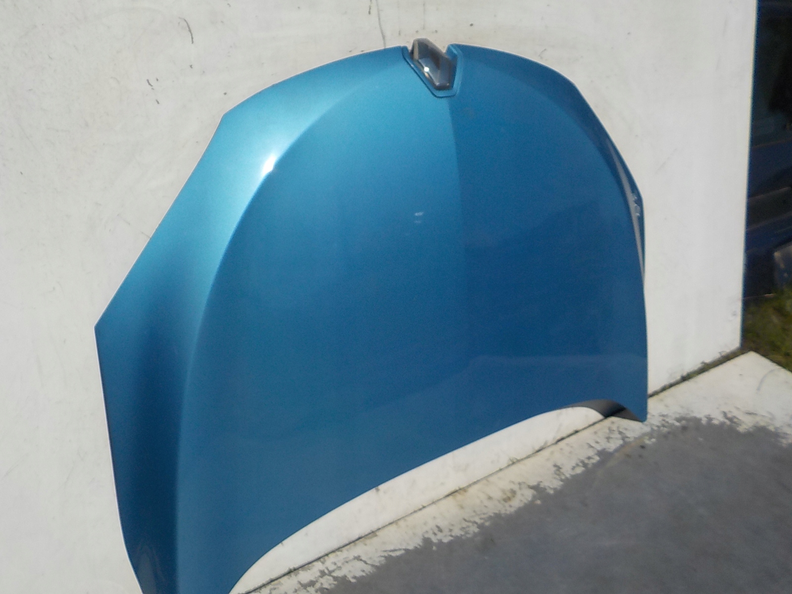 319 RENAULT MEGANE III 08-13 bonnet