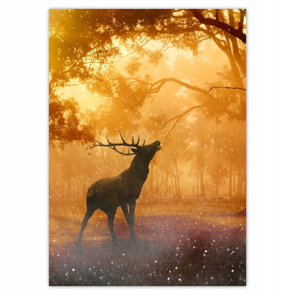 

Naklejki 50x70 Jeleń w lesie