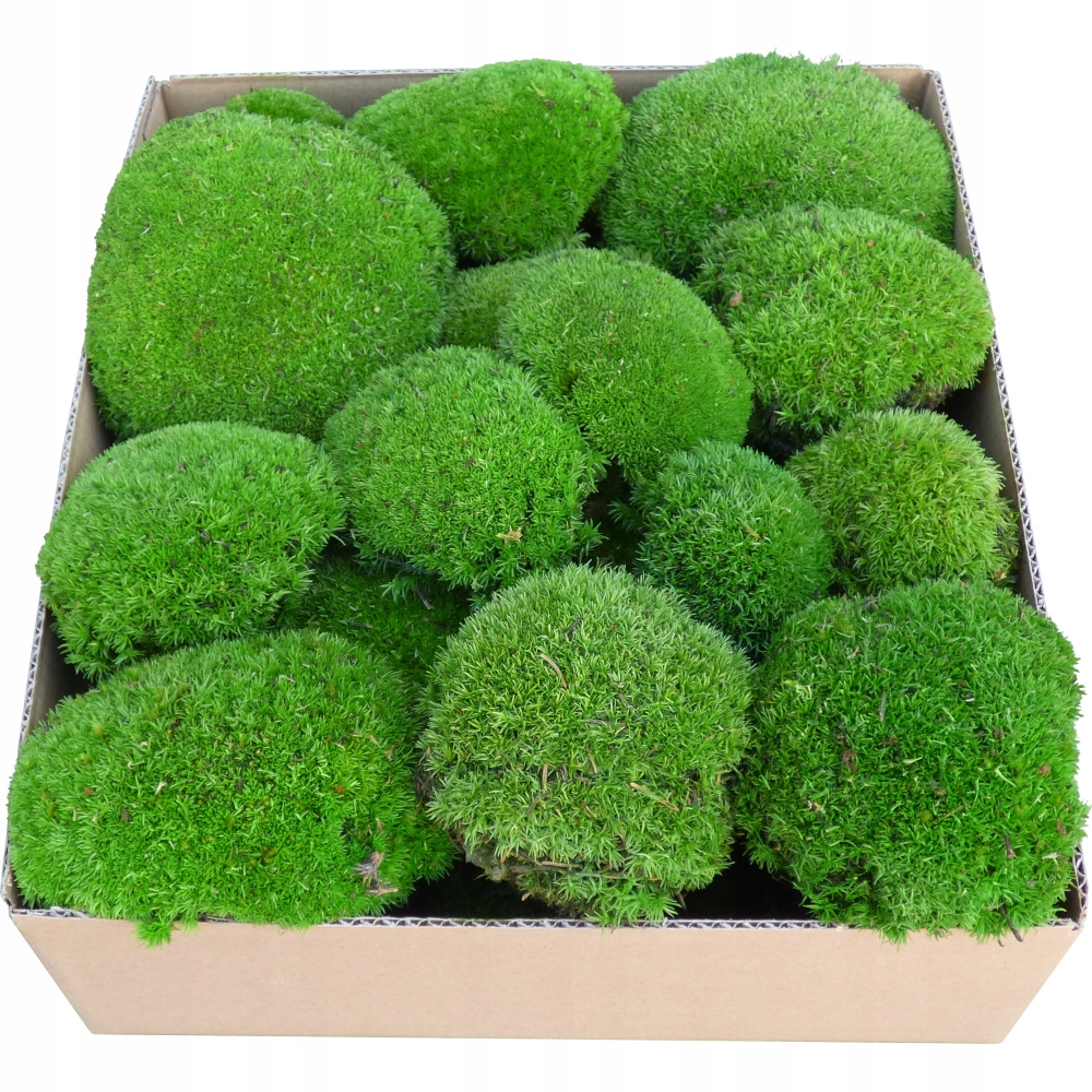 

Mech Poduszkowy Premium Naturalny Zielony 0,06m2