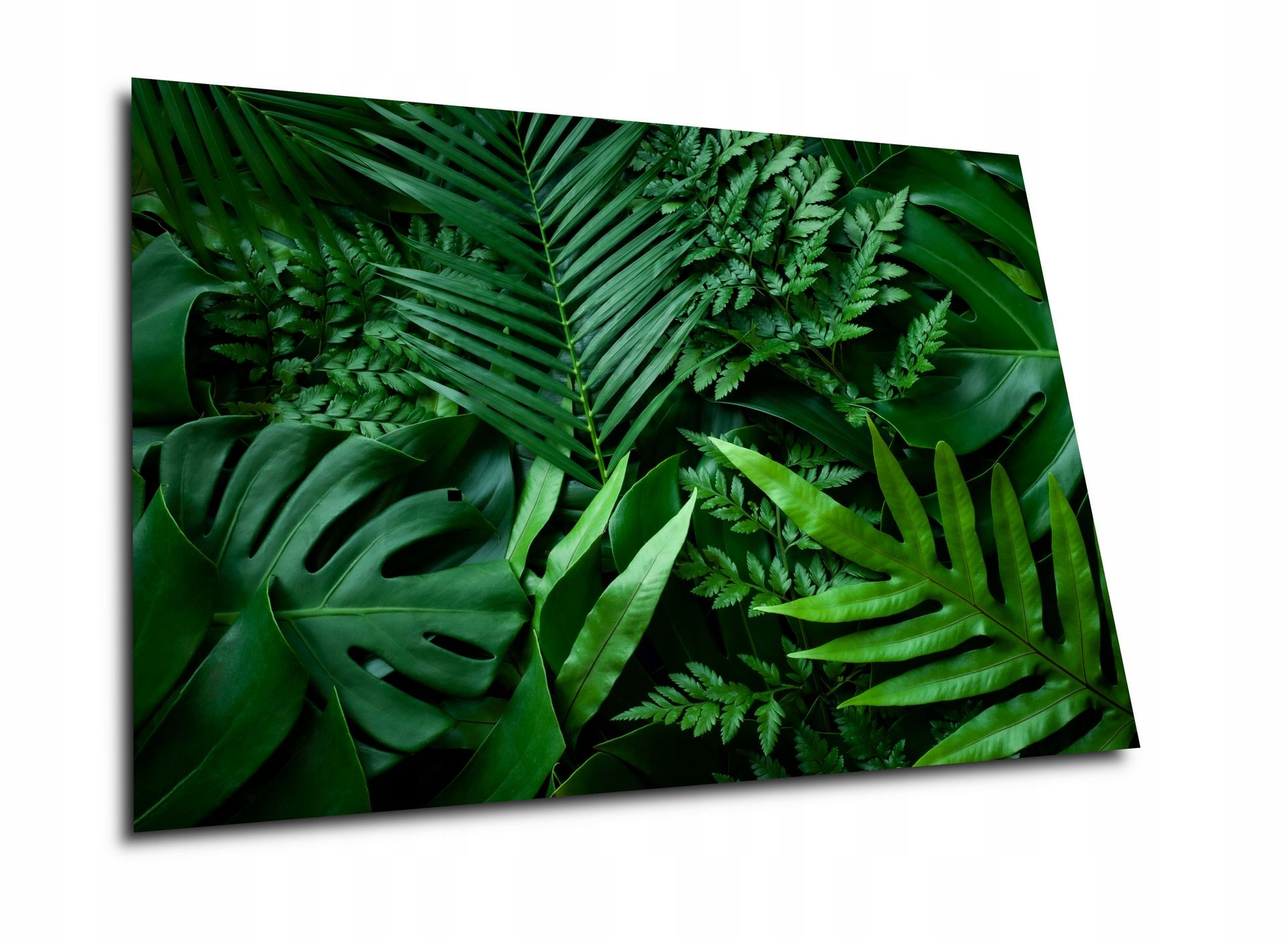 

Szklana deska do krojenia 22x30+GRATIS+NOWE Wzory