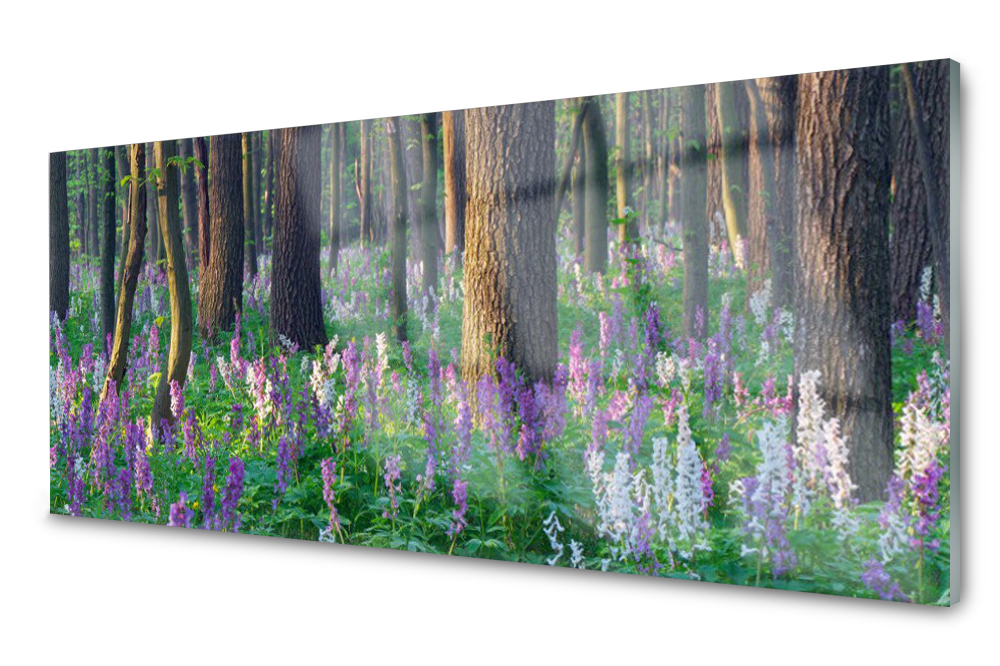 

Panel szklany do kuchni Las 125x50