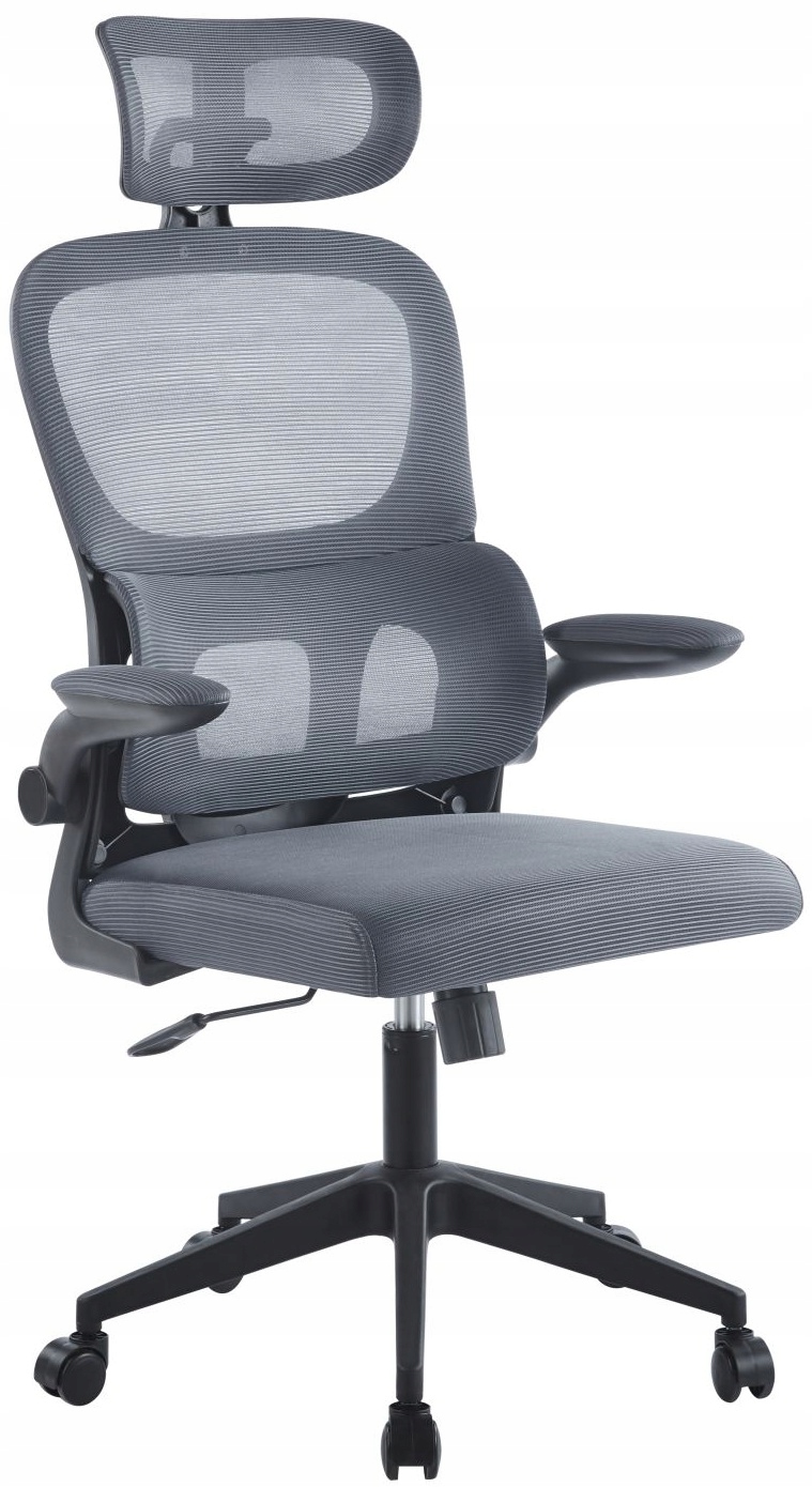 Fotel Biurowy Lucky Szary Ergonomiczny, Siatkowe Oparcie, Wysoki, Tkanina