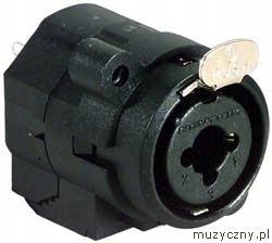 

Neutrik NCJ6FI-S Combo gniazdo tablicowe Trs Xlr