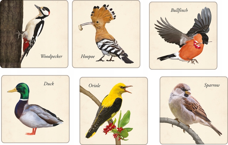 Memory Memos Ptaki - gra pamięciowa - Adamigo - KD Typ Podstawa