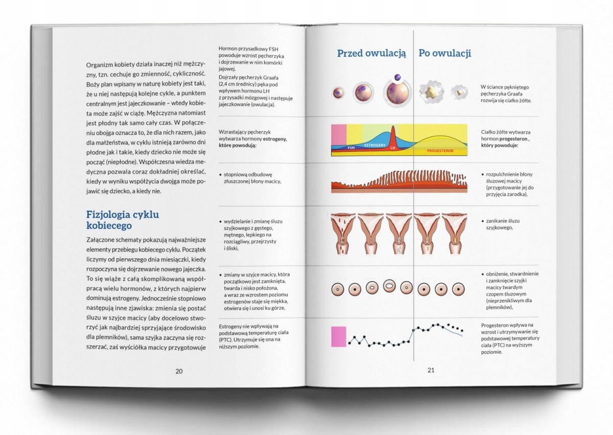 TO NIE JEST BABSKA SPRAWA Piotr Wołochowicz NOWOŚĆ Okładka miękka