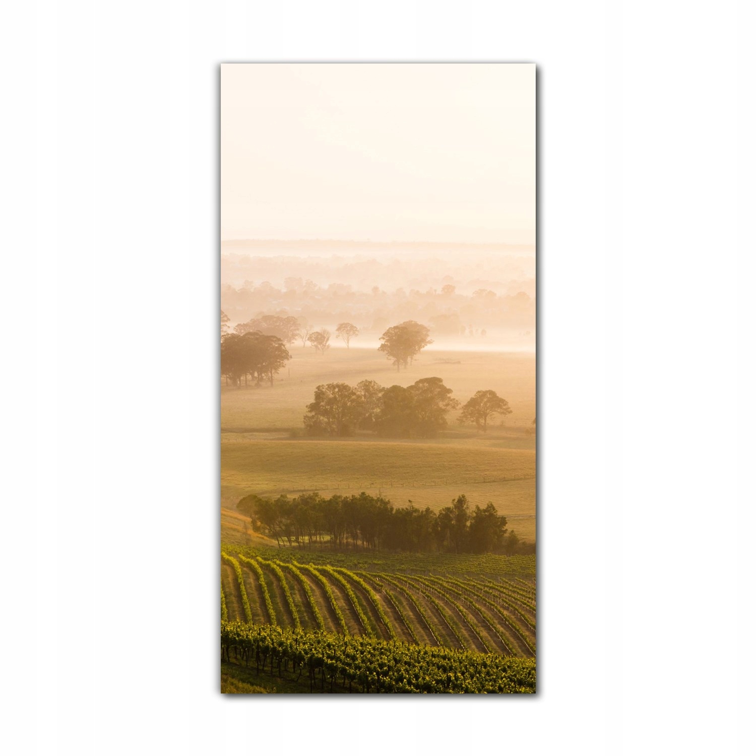 

Obraz na szkle do kuchni 60x120 Dolina Australia