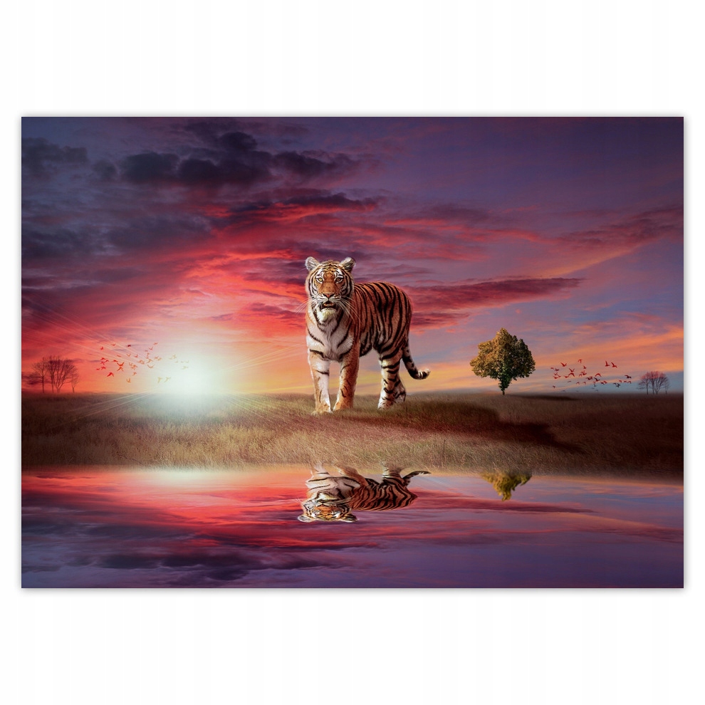 

Naklejki 70x50 Tygrys w magicznej krainie
