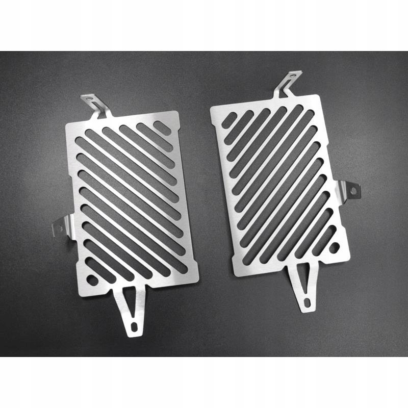 10001459 - РЕШЕТКА РАДИАТОРА ZIEGER BMW R 1200 GS LC 13-14