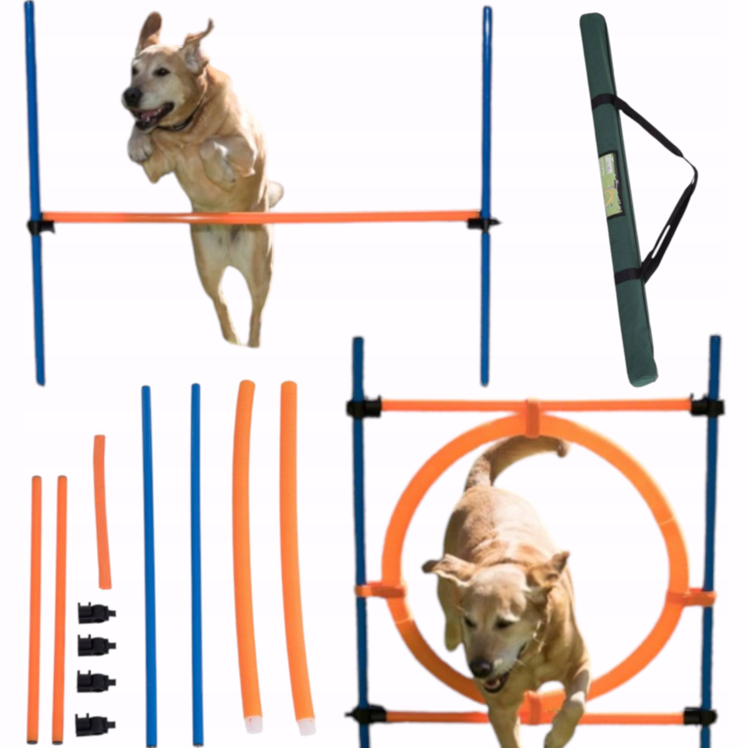

Koło Dla Psa Do Skakania Agility Trening Z Psem