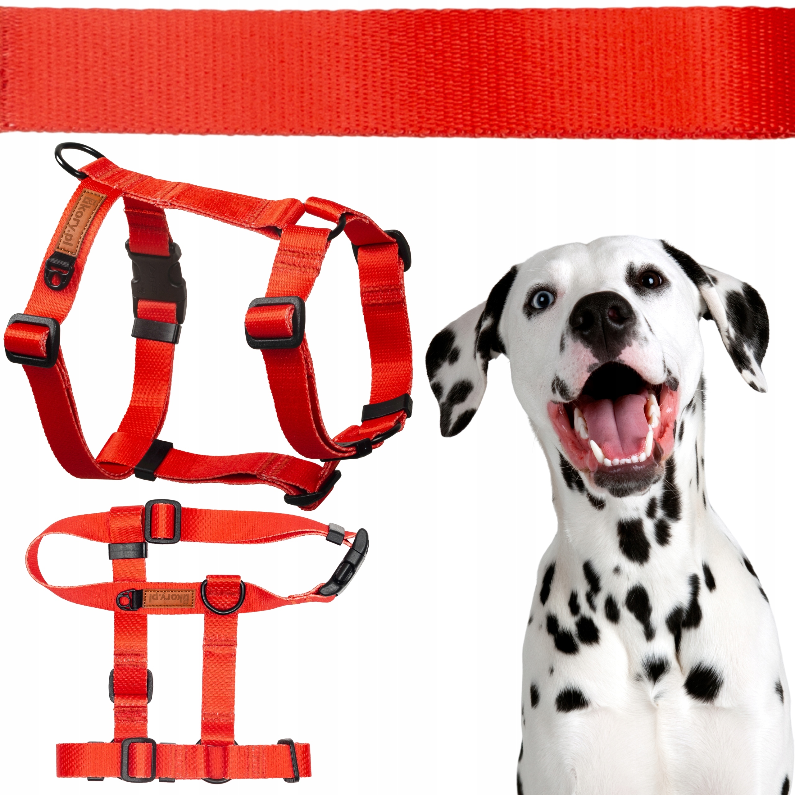 Beztlakové postroje Guard pro velkého psa L/XL 30 mm Tosa Seter Akita
