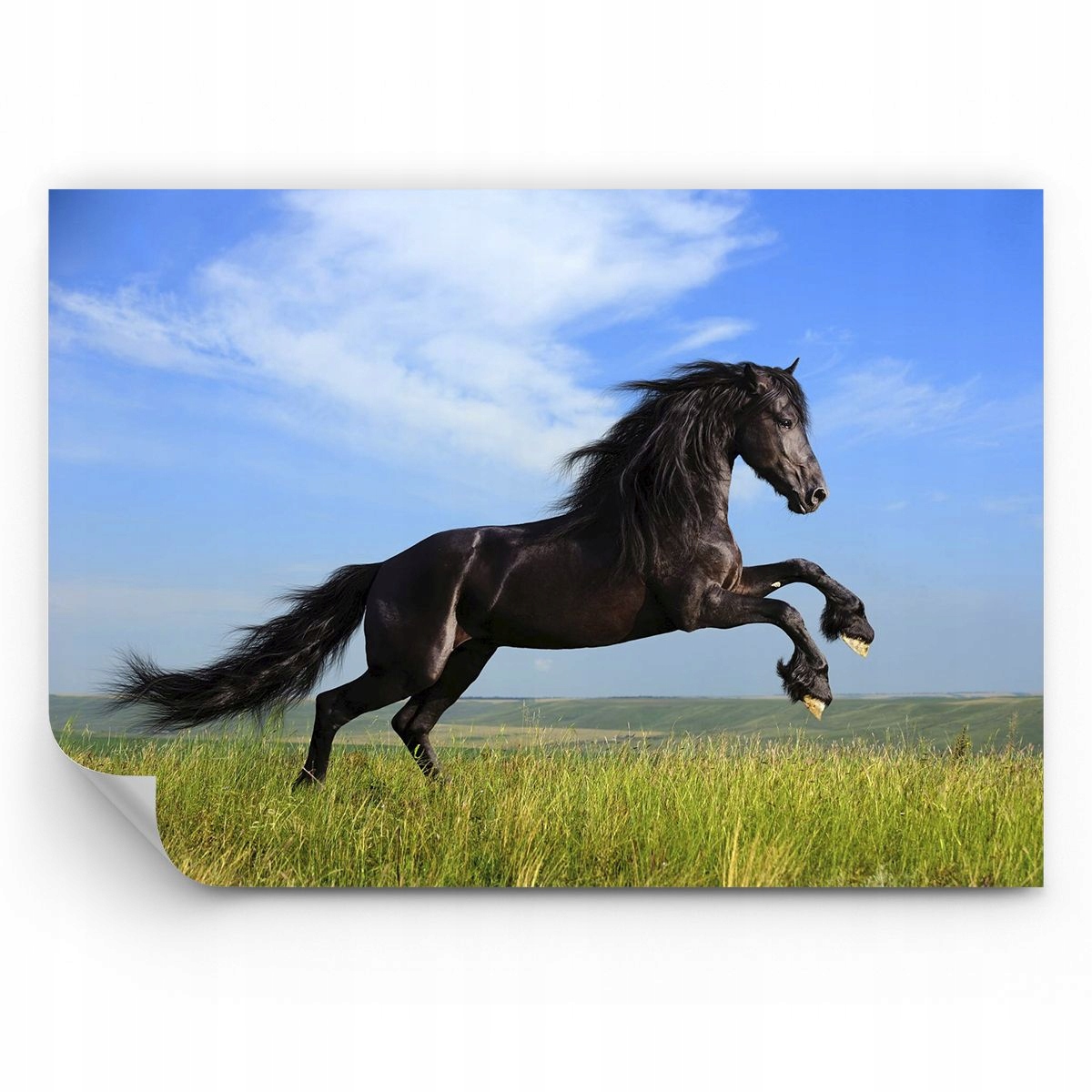 Fototapeta Zwierzęta Tapeta Na Ścianę Do Sypialni Salonu 350x256 Ps