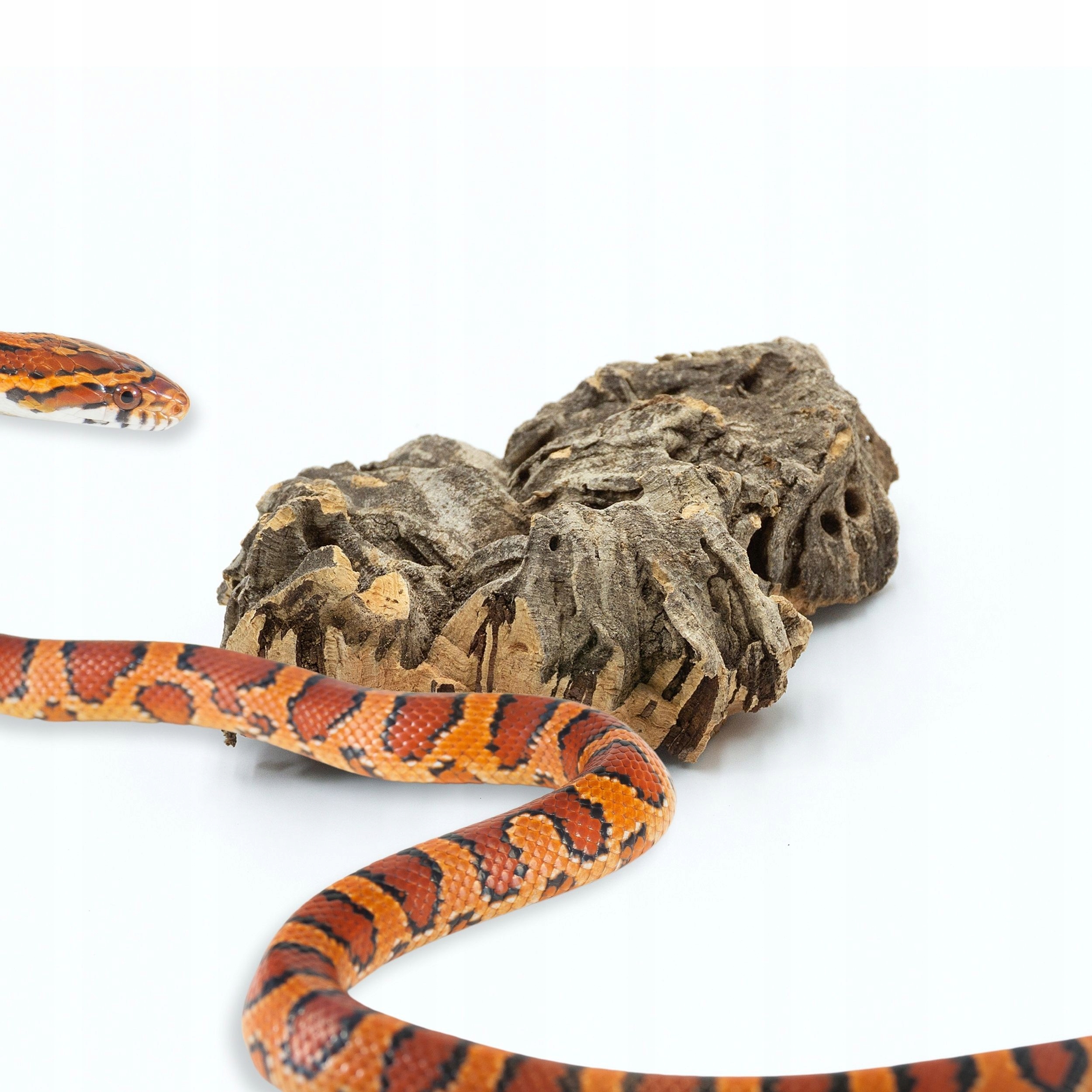 Levně BioCork Bits odřezky kůry korkového dubu 5 kg do terária