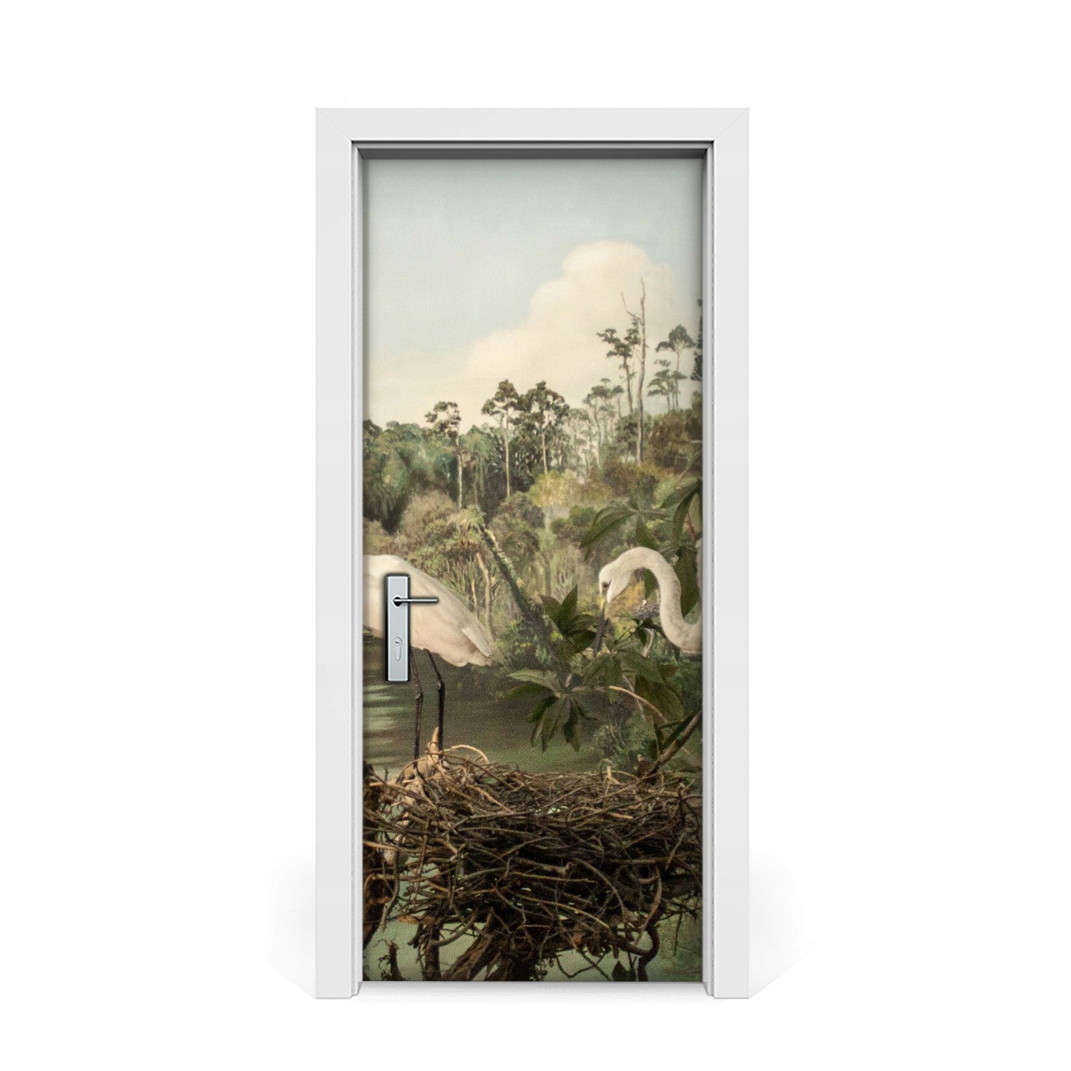 

Okleina naklejka drzwi Nowozelandzkie ptaki 85x205