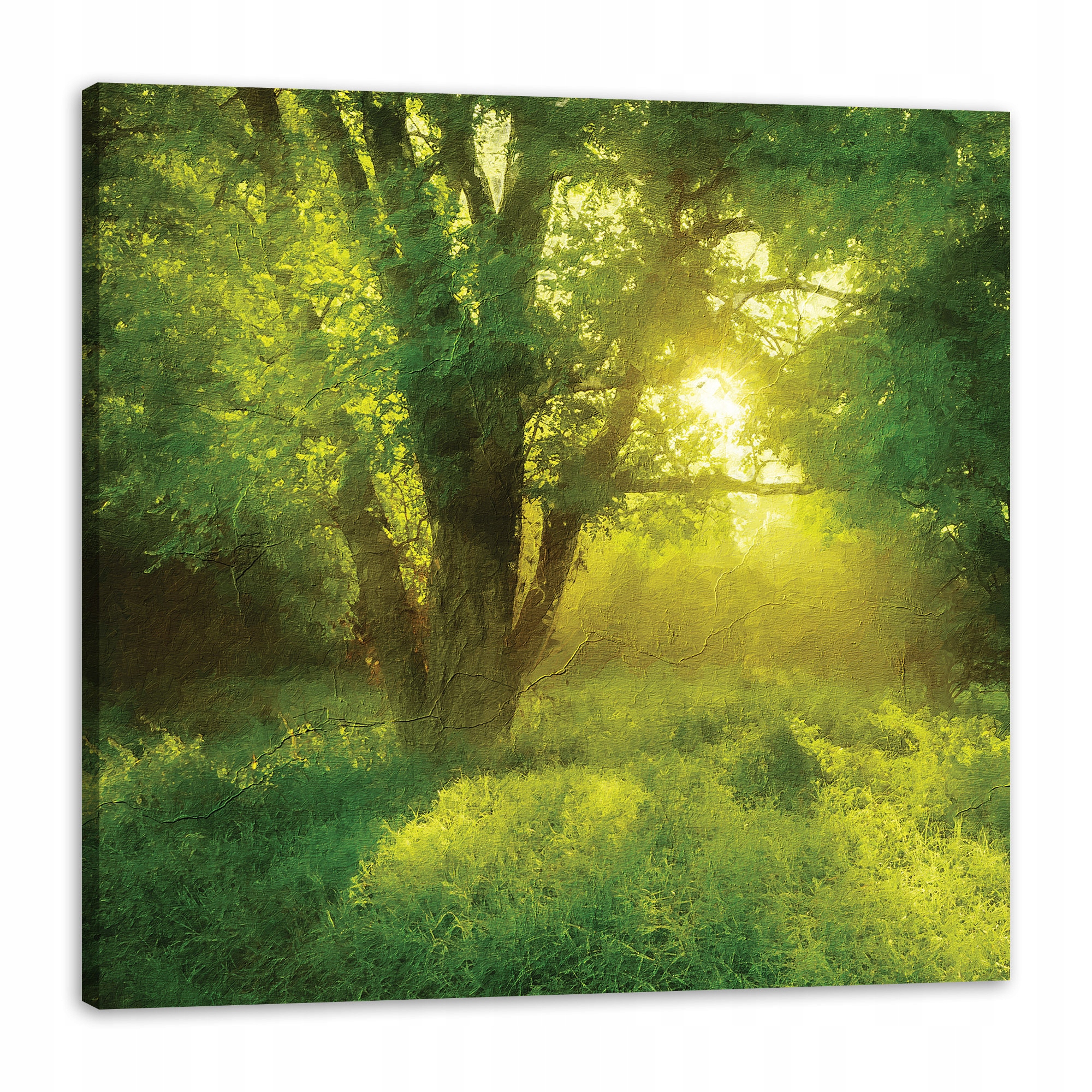 Obraz na plátně Pastelový styl Strom Slunce 80x80 cm