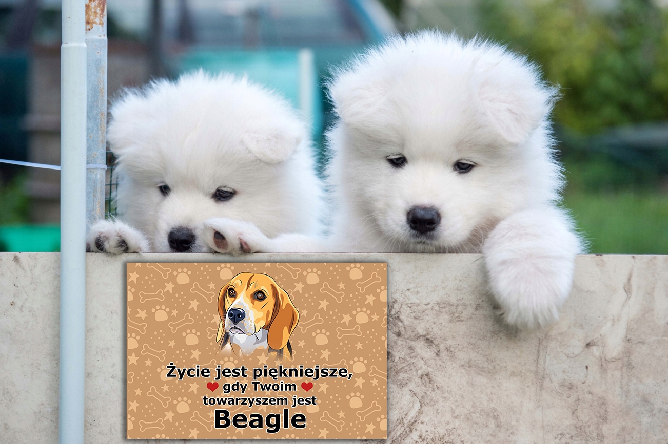 TABLICZKA PCV CIEMNO BRĄZOWY ŻYCIE JEST PIĘKNE MALTAŃCZYK PREZENT MIX WZORY Stan opakowania oryginalne