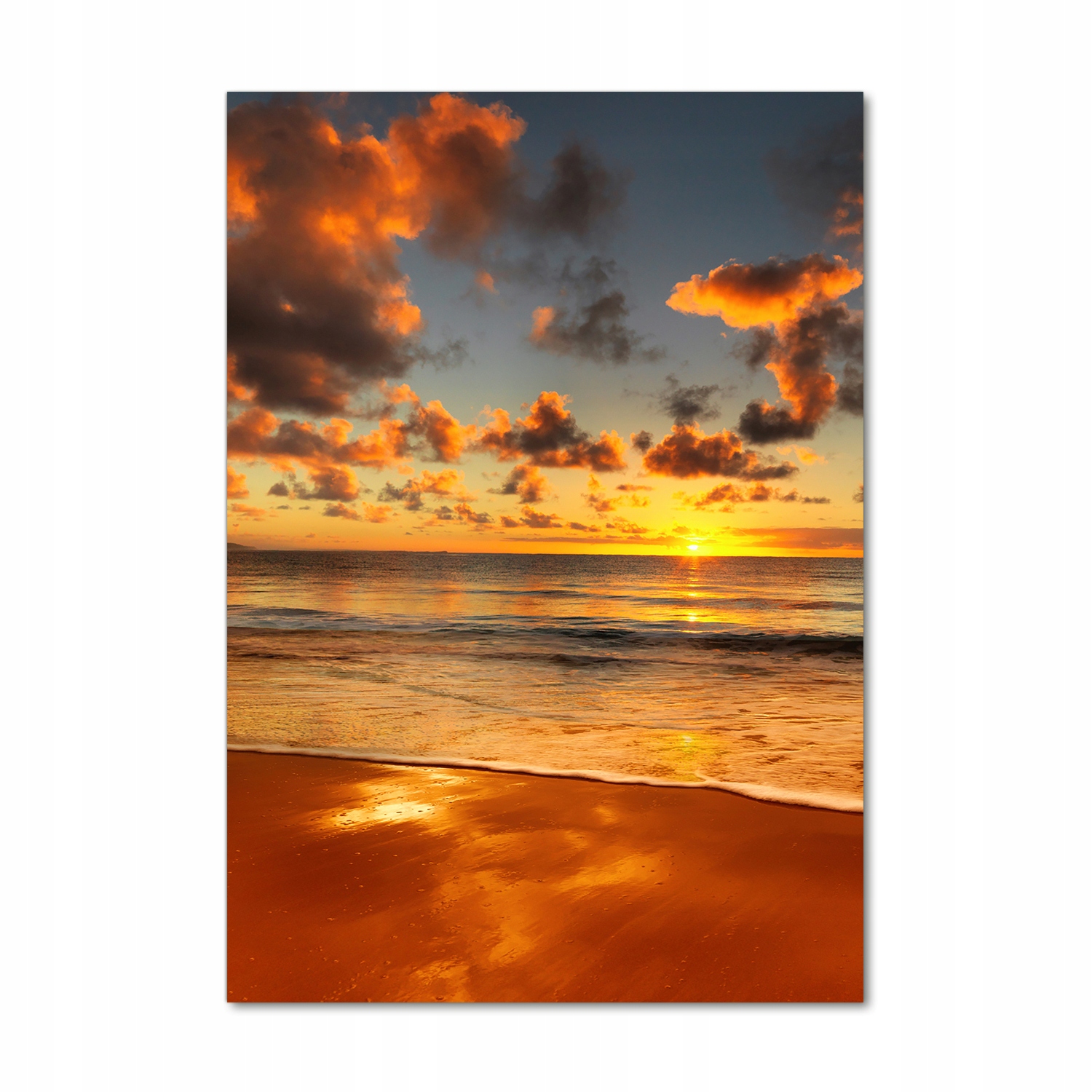 

Foto obraz na szkle Australijska plaża 70x100 cm
